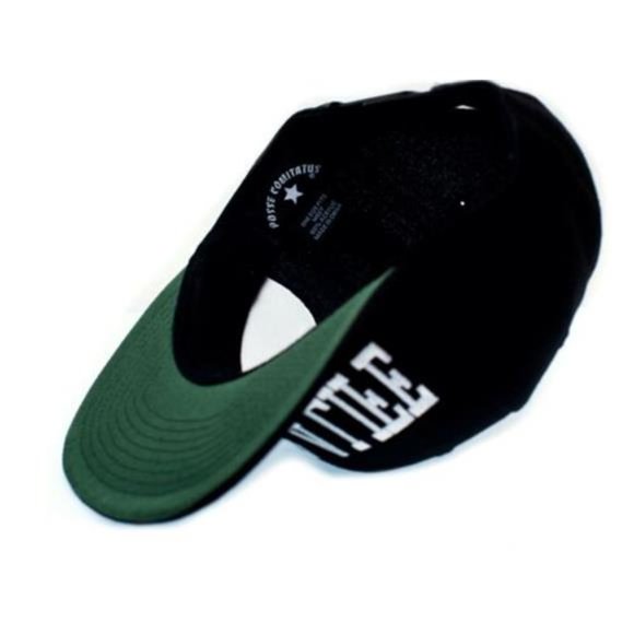 HipHop Niggaz 4 Life EFIL4ZAGGIN Flat Brim Hat Cap Eazy E Compton NWA Dr. Dre - Picture 3 of 3